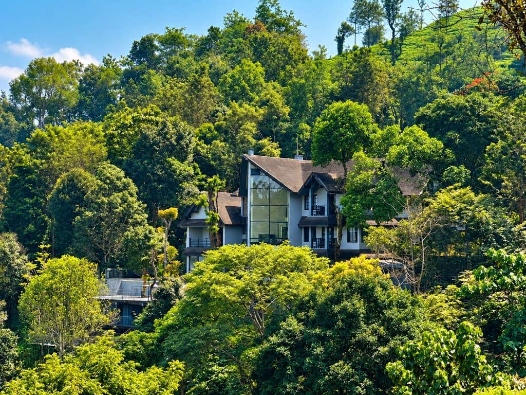 Waking up enveloped by lush rainforest canopies and fresh morning air.